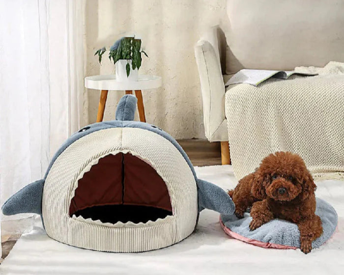 Home Page Image
